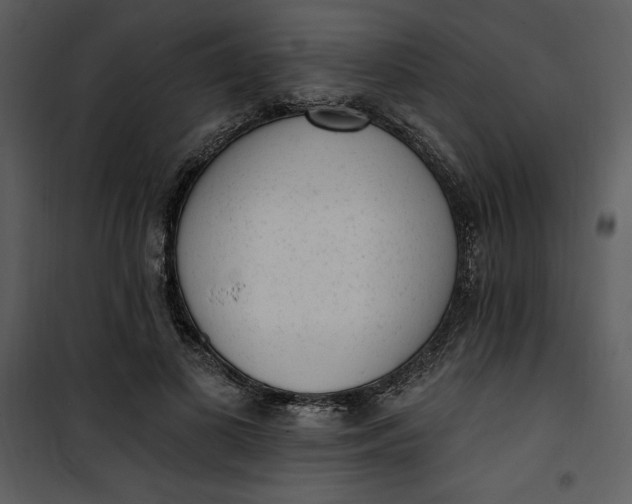 X0000101230693200807181603