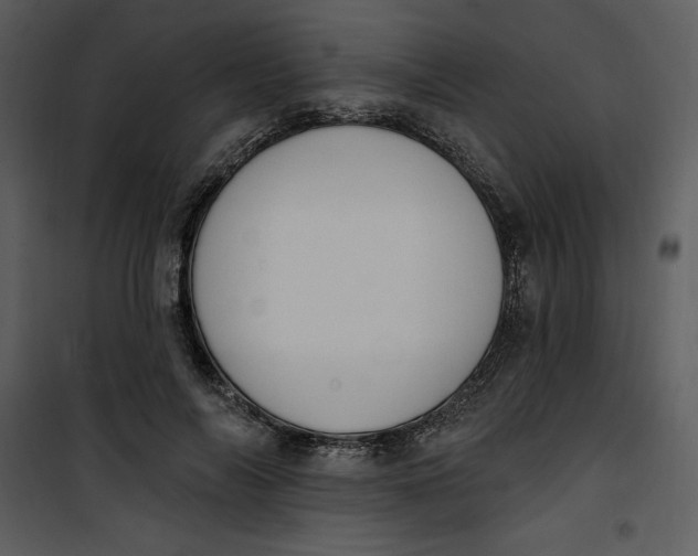 X0000101230694200807181603