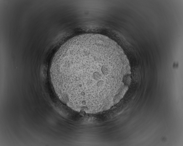 X0000101230695200807181603