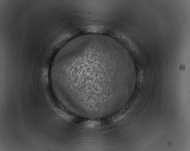 X0000101230696200807181603