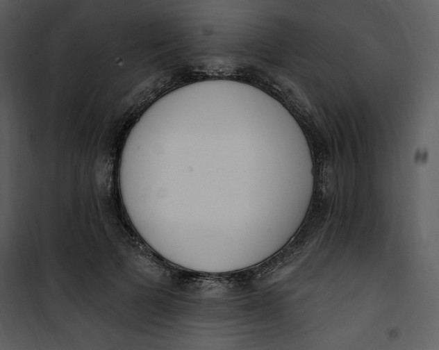 X0000101230697200807181603