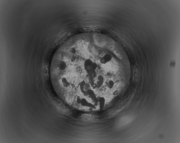 X0000101230699200807181603