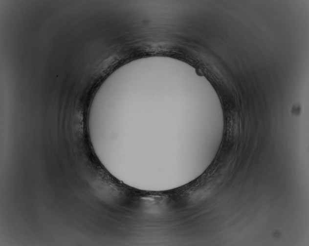 X0000101230700200807181603