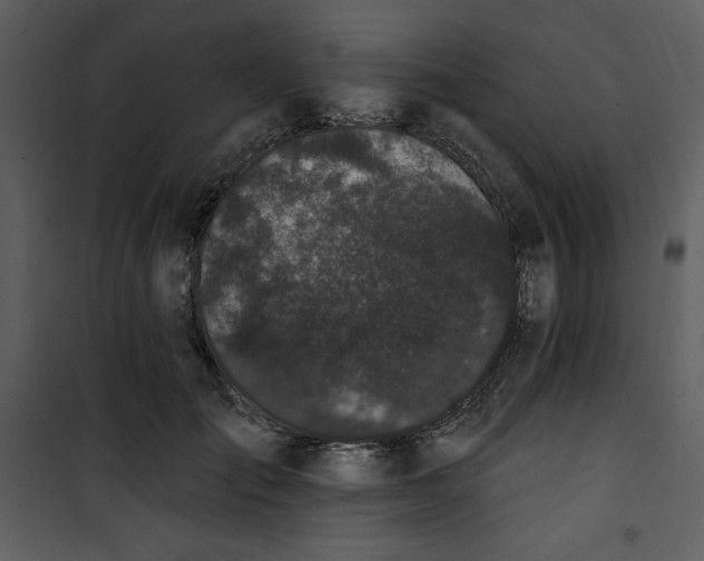 X0000101230701200807181603