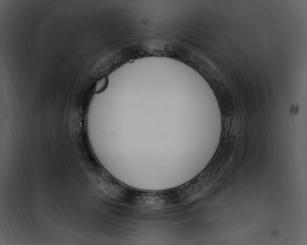 X0000101230702200807181603