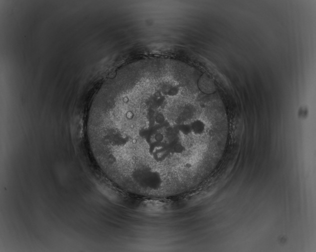 X0000101230703200807181603