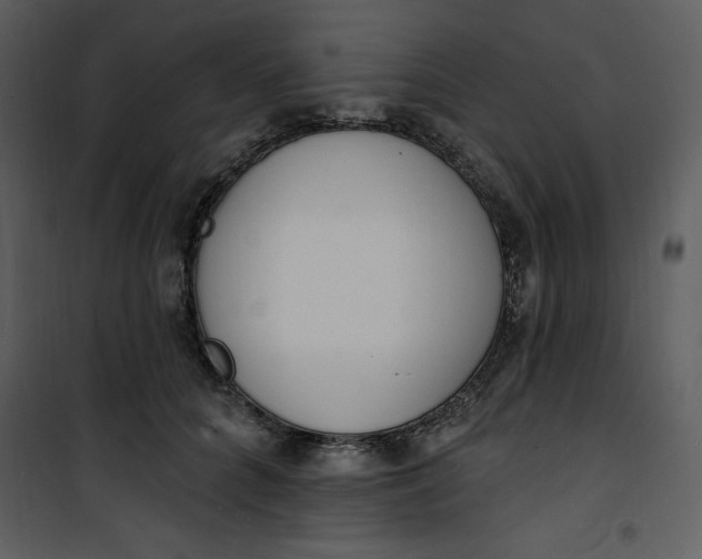 X0000101230704200807181603