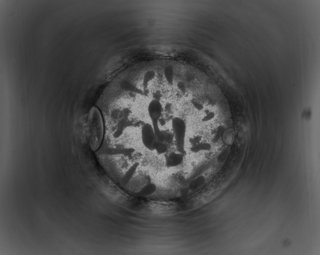 X0000101230707200807181603