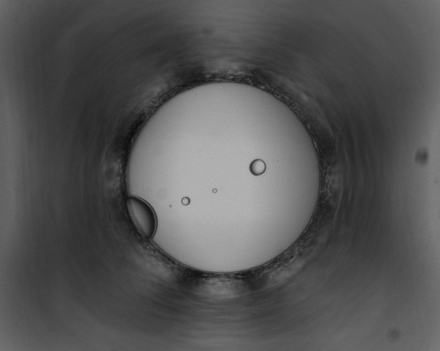 X0000101230708200807181603