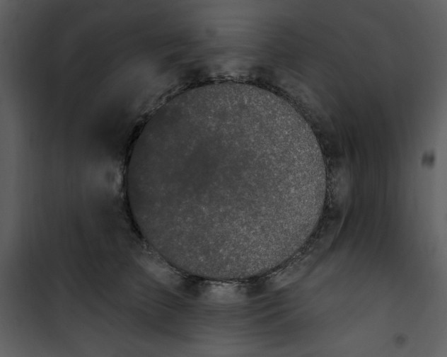 X0000101230709200807181603