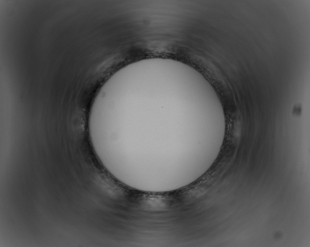 X0000101230710200807181603