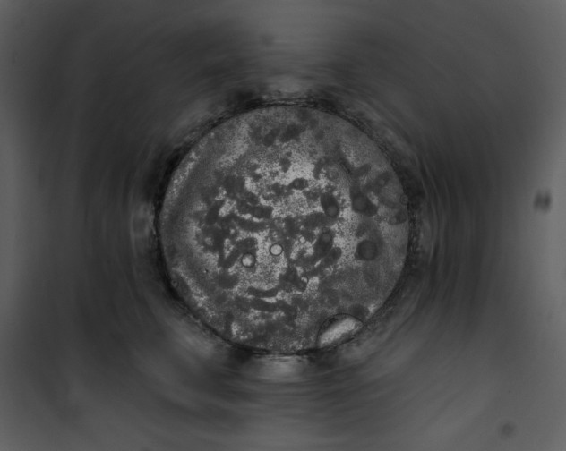 X0000101230711200807181603