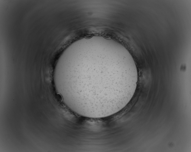 X0000101230712200807181603