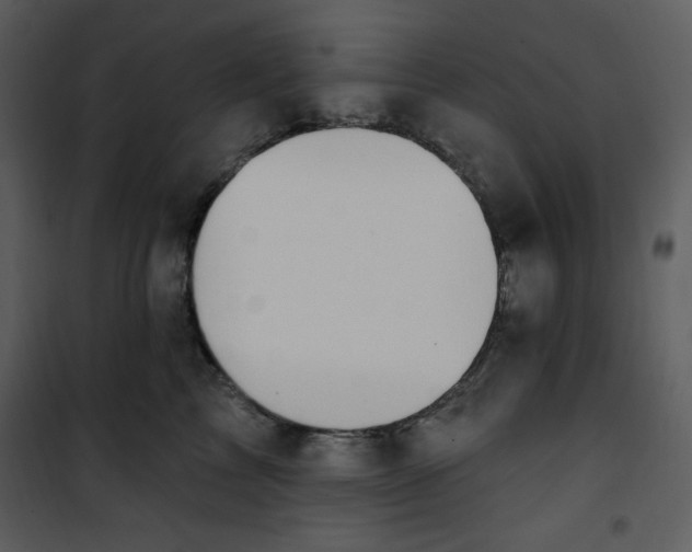 X0000101230713200807181603