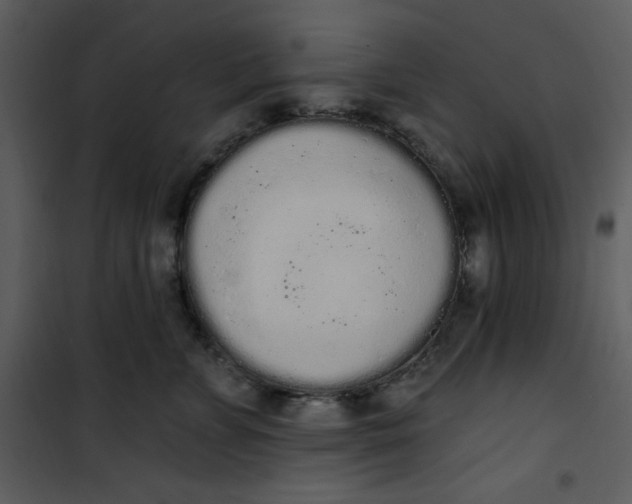 X0000101230715200807181603