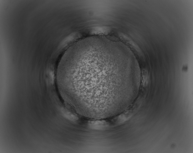 X0000101230716200807181603