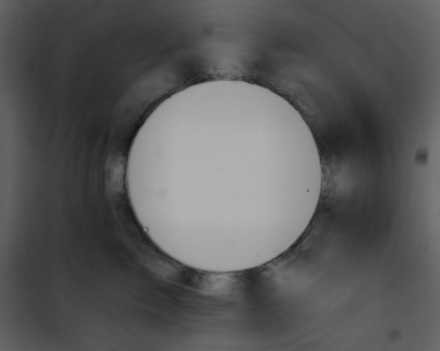 X0000101230717200807181603