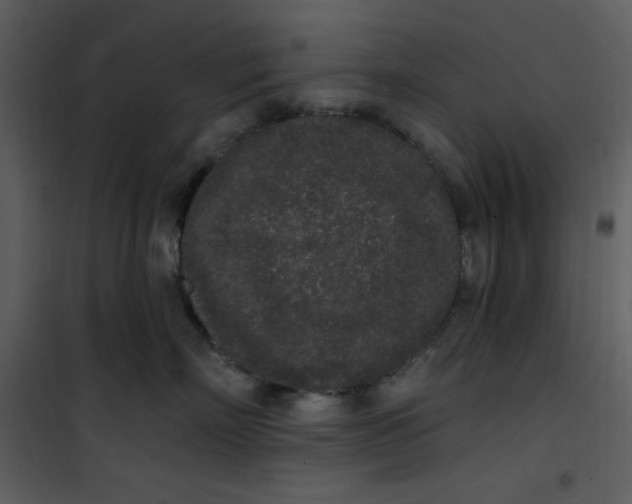 X0000101230718200807181603