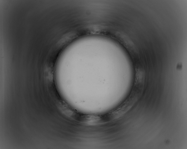 X0000101230719200807181603