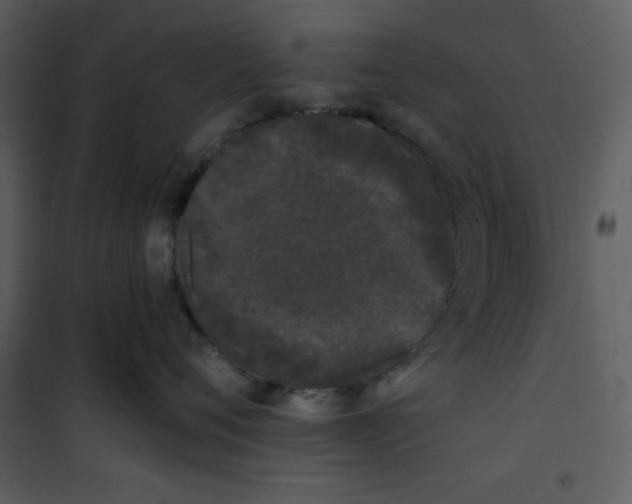 X0000101230720200807181603