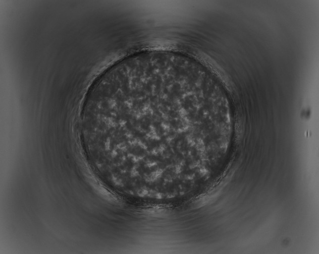 X0000101230721200807181602