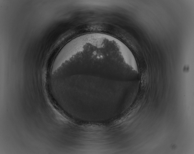 X0000101230722200807181602