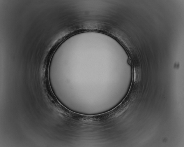 X0000101230723200807181602