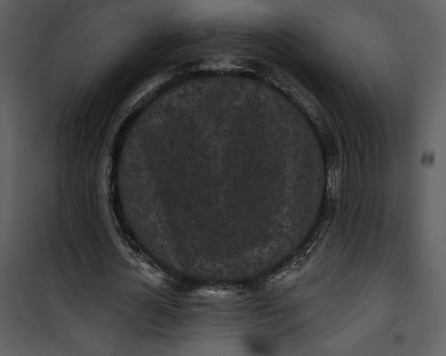 X0000101230724200807181602