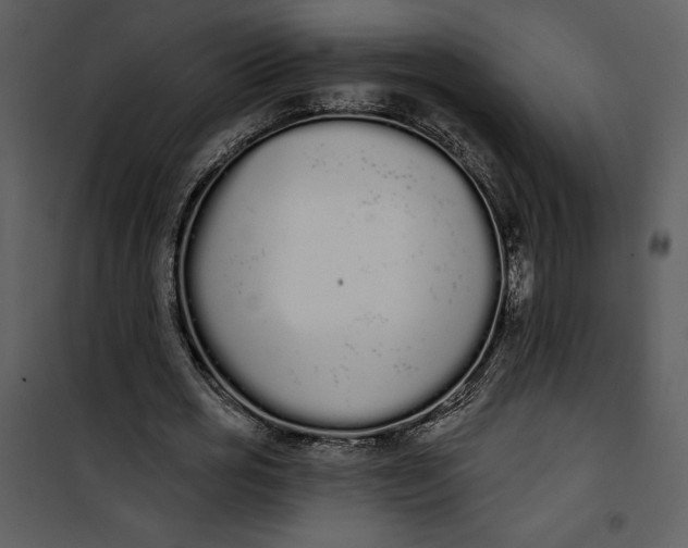 X0000101230725200807181602