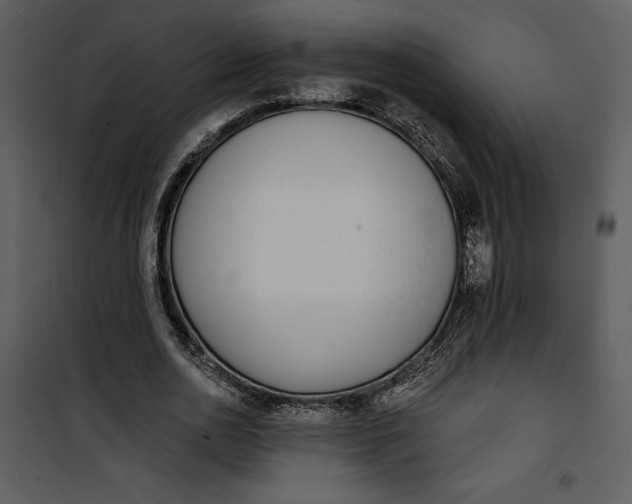 X0000101230726200807181602