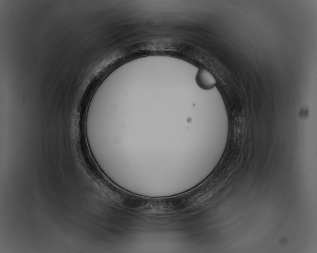 X0000101230727200807181602