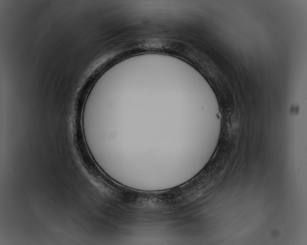 X0000101230728200807181602