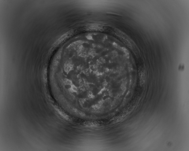 X0000101230729200807181602