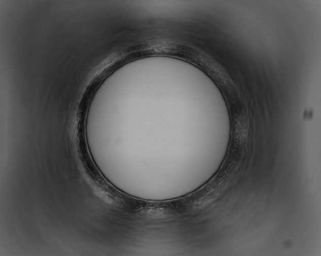 X0000101230730200807181602