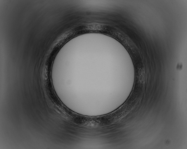 X0000101230731200807181602