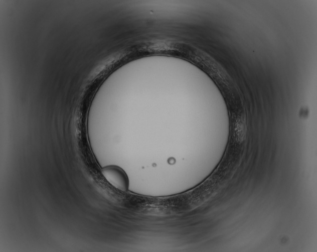 X0000101230732200807181602