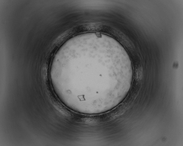 X0000101230733200807181602