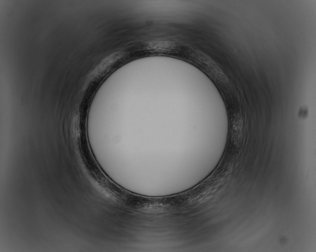 X0000101230734200807181602