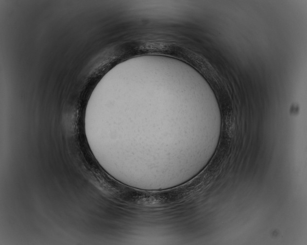 X0000101230735200807181602