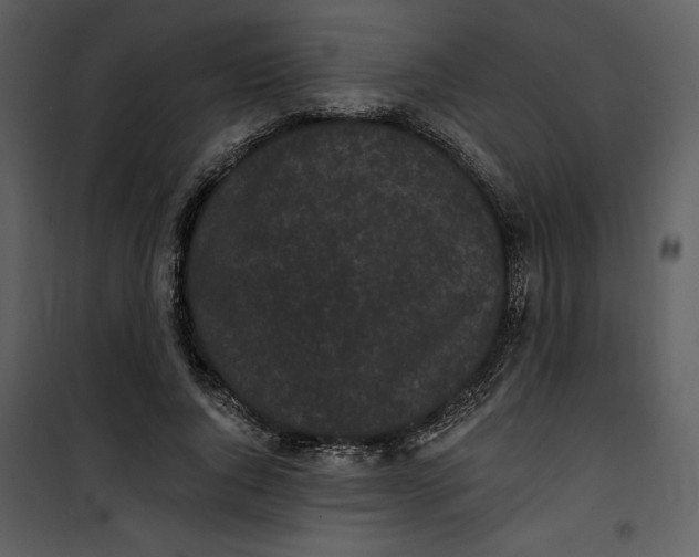 X0000101230736200807181602