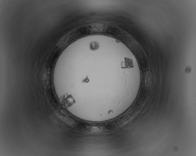 X0000101230737200807181602