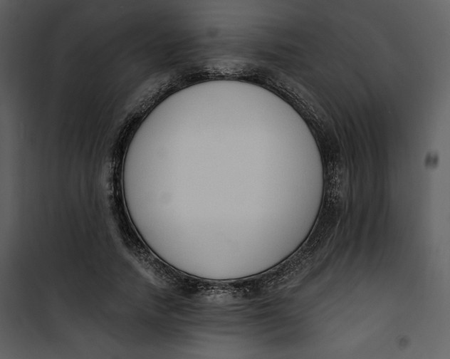 X0000101230738200807181602