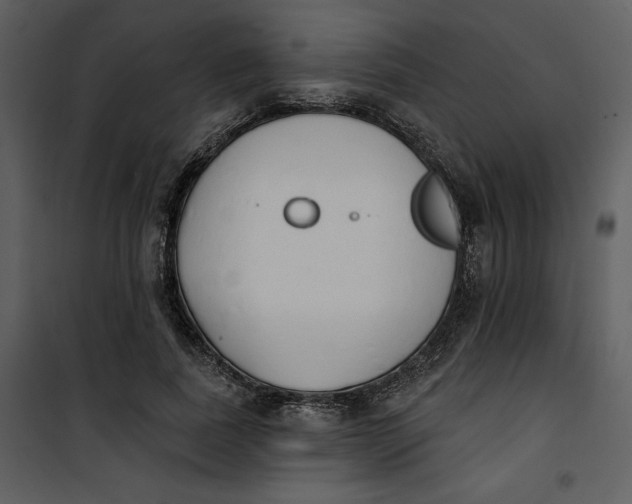 X0000101230739200807181602