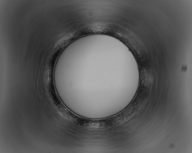 X0000101230740200807181602