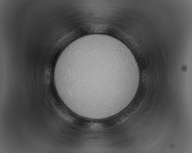 X0000101230741200807181602