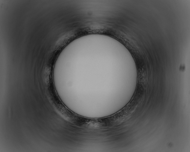 X0000101230742200807181602