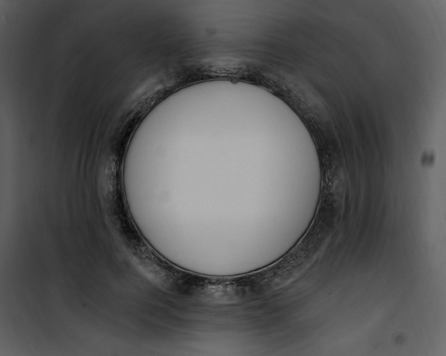 X0000101230744200807181602