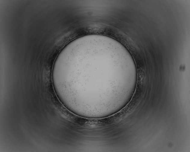 X0000101230745200807181602