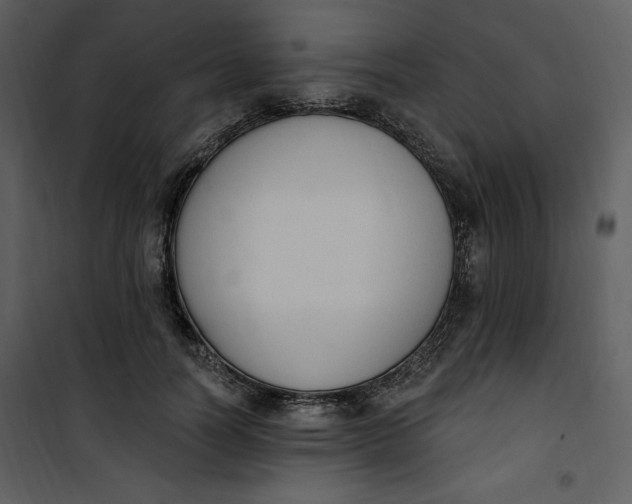 X0000101230746200807181602