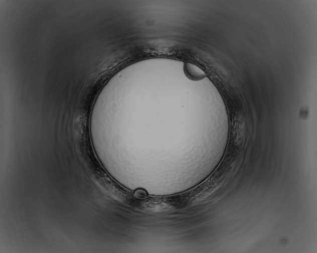 X0000101230747200807181602